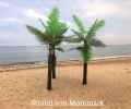 Strand von Mommark