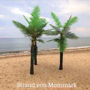 Strand von Mommark