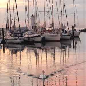 Hafen von Mommark Hafen von Mommark