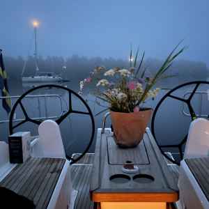 Blumen und Nebel - Schweden 2022 Blumen und Nebel - Schweden 2022