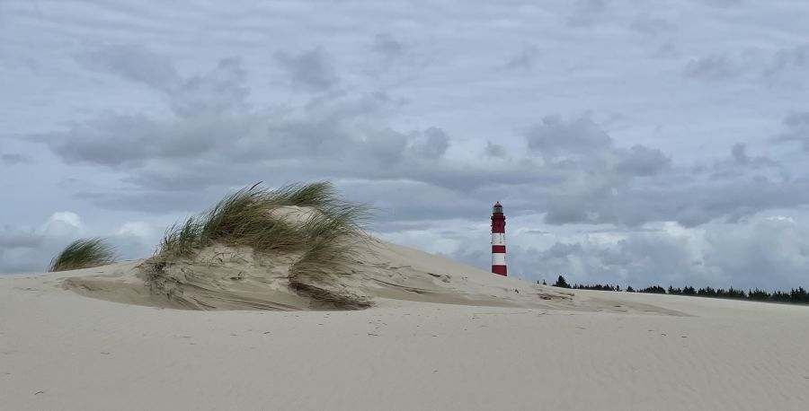 Amrum 2025